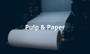 pulp and paper industry enclosures